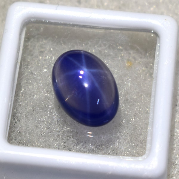 Natural Blue Star Sapphire Oval Shape 10 Ct AA Quality Cabochon SIX Rays Star Sapphire Top Genuine Best Sale Going On !