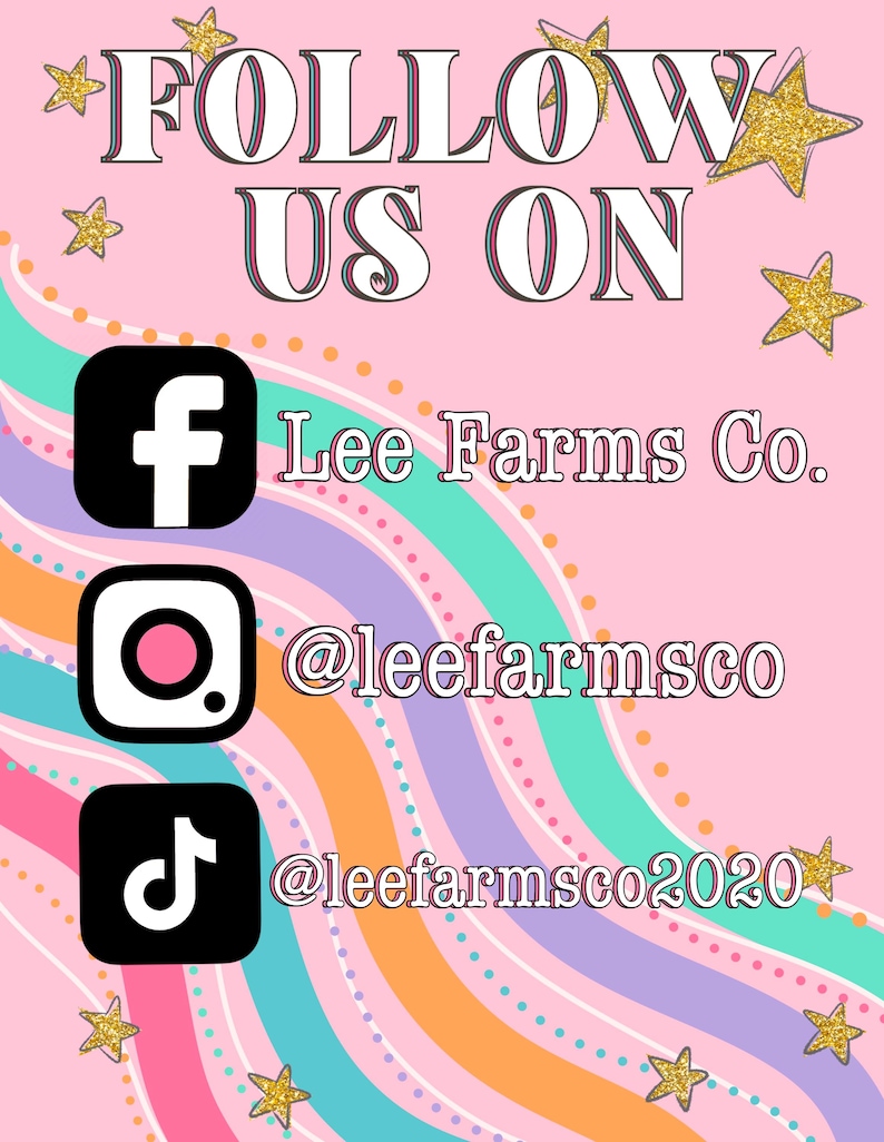Pu&ograve; includere: Uno sfondo rosa con le parole "FOLLOW US ON" in bianco e nero. L'immagine include le icone dei social media per Facebook, Instagram e TikTok, insieme al nome utente @leefarmsco. Stelle glitterate dorate decorano l'immagine.