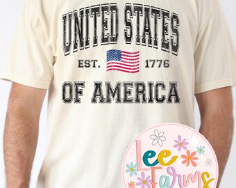 USA|Amerika|Förenta staterna|Flagga|png|Sublimering|Ladda ner