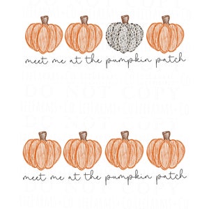 Simple Pumpkin Patch PNG