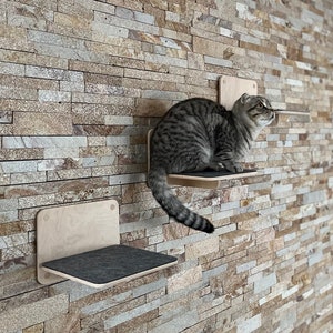 Set of 3 Items for Cats Cat Steps Modern Cat Furniture Gift for Cat Lover Cat Shelf for Walls Cat Wall Tree Modern Wall