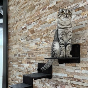 Cat Steps, Cat Furniture, Cat Shelf, Cat Tree, Cat Gym, Cat Shelf
