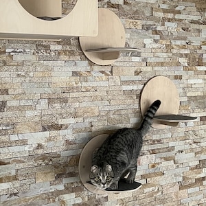 Cat wall shelves set Cats step Cat steps Cat shelf Cat furniture modern Cat tree Cat shelf furniture Wall mount cat shelves Cats Furniture