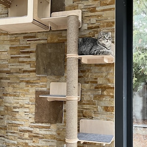 8 Ft. Floor to Ceiling Climbing Tree Etsy