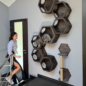 Cat wall furniture hexagon Cat wall house Cat hexagon shelves Cat wall furniture wooden Cat wall bed Cat bed Cat hexagonal Houses for cats