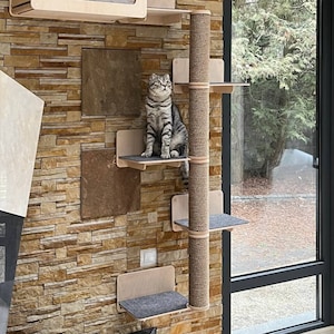 K&ouml;nnte beinhalten: Ein Katzenbaum mit einem Haus, einem Kratzbaum und mehreren Plattformen. Der Katzenbaum ist aus Holz und hat eine nat&uuml;rliche Oberfl&auml;che. Eine Katze sitzt auf einer der Plattformen.