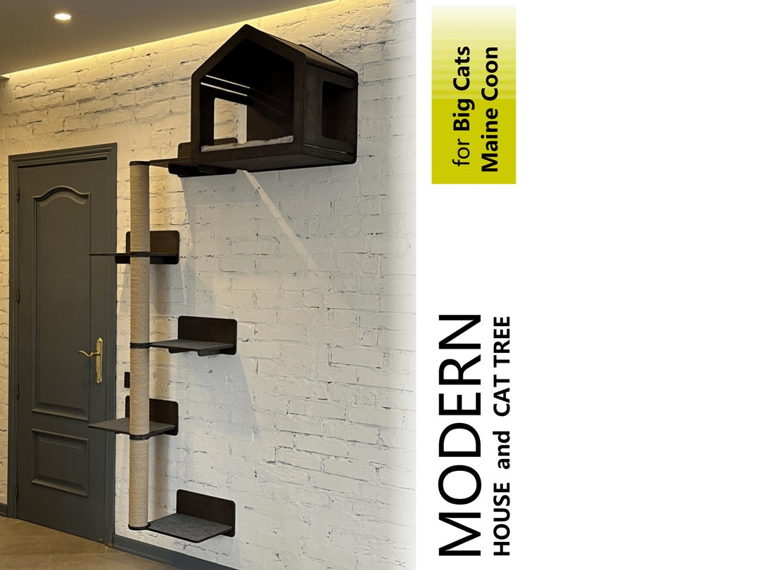 Best cat furniture for large cats