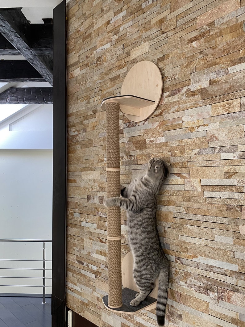 May include: A gray tabby cat climbing a wall-mounted cat tree with a sisal-covered scratching post and a circular platform. The cat tree is made of wood and has a gray platform.