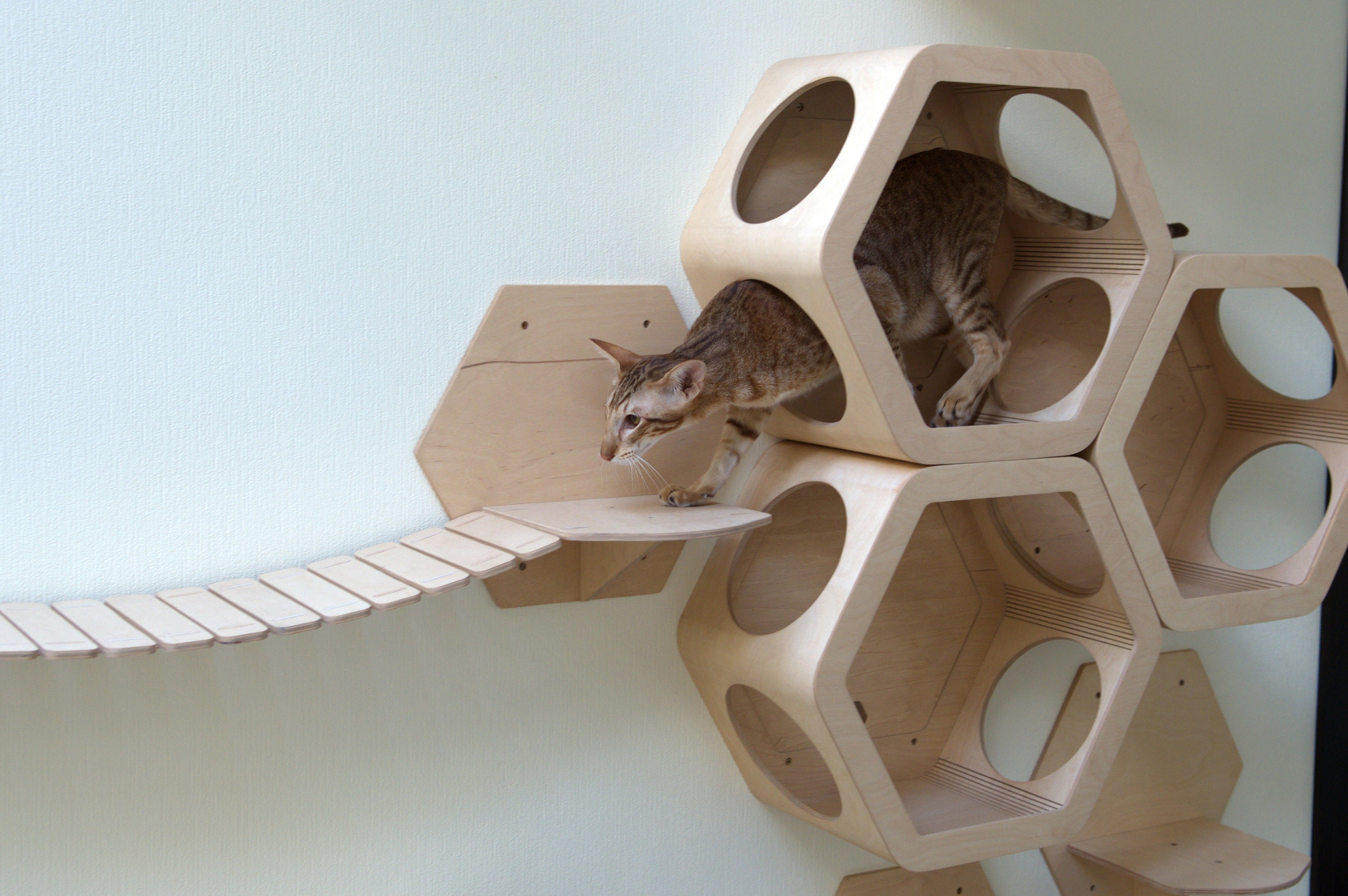 Katze Wand Regale Katze Turm Katze Schritt at Möbel Etsy