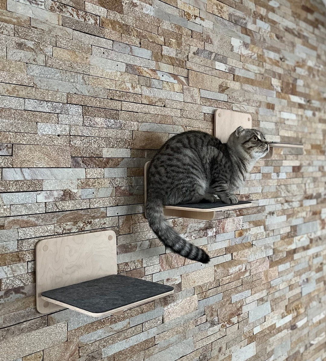 Set von 3 Artikeln für Katzen Katzenstufen Moderne Katzenmöbel - Il 1080xN.4368866673 6z24