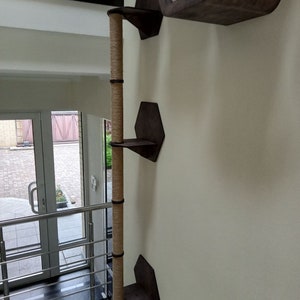 May include: A wall-mounted cat tree with a sisal-covered scratching post and multiple wooden platforms. The platforms are shaped like hexagons and are attached to the wall with screws.
