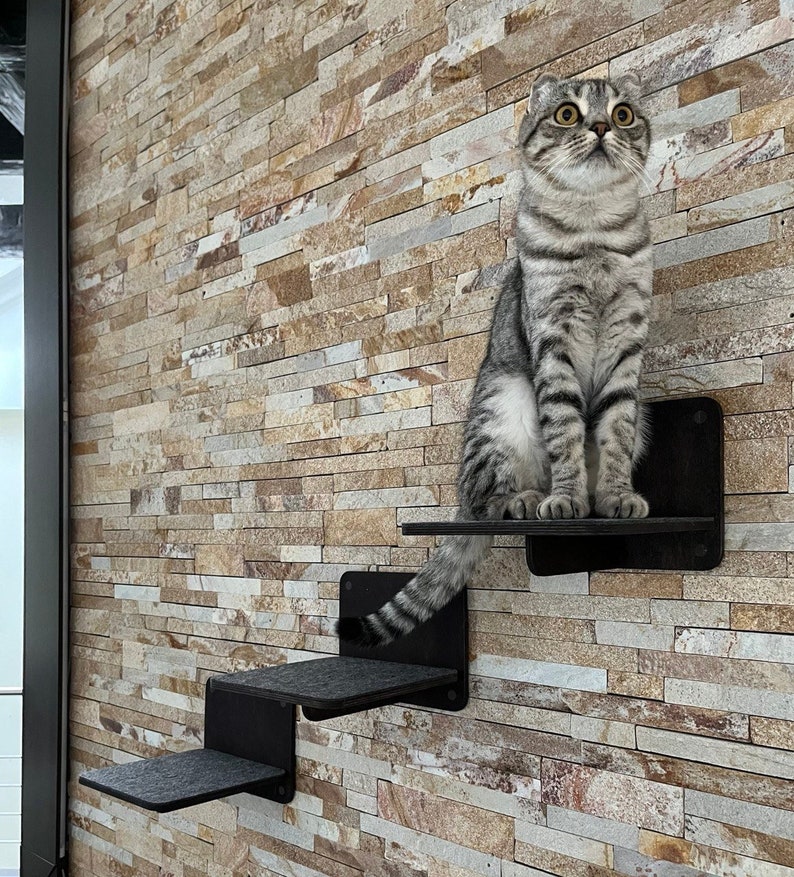 Cat Wall Steps Cat Shelves Cat Stairs Cat Climb Cat Scratch Step Cat ...