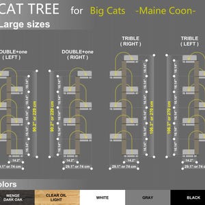 May include: Diagram showing different sizes of cat trees for large cats, specifically Maine Coon cats. The trees are labeled "Double+one (Left)", "Double+one (Right)", "Triple (Right)", and "Triple (Left)". The trees are made of wood and have multiple platforms. The dimensions of the trees are listed in inches and centimeters. The colors of the trees are listed as "Wenge Dark Oak", "Clear Oil Light", "White", "Gray", and "Black".