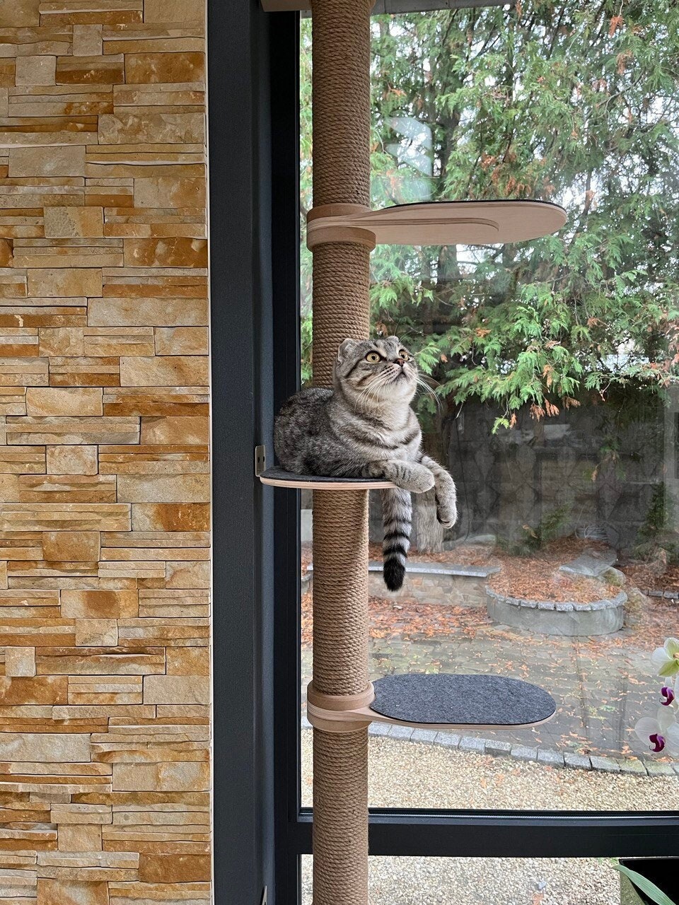 Corner Cat Tree Etsy Canada