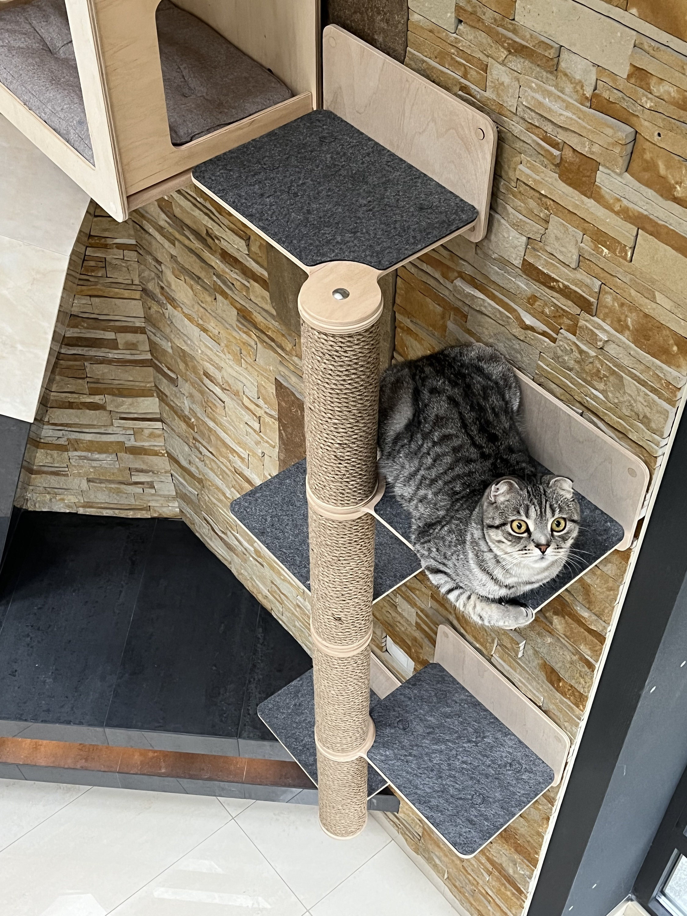 Cats Tree Cat Wall Tree Modern Furniture for Cats Cat Tree Etsy Australia