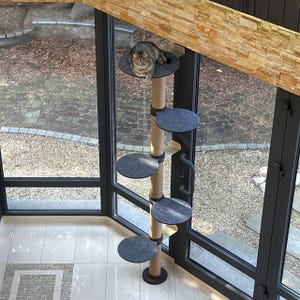 May include: A tall cat tree with a gray carpet covering the platforms. The cat tree has a sisal rope wrapped around the pole and a cat is sitting on the top platform.