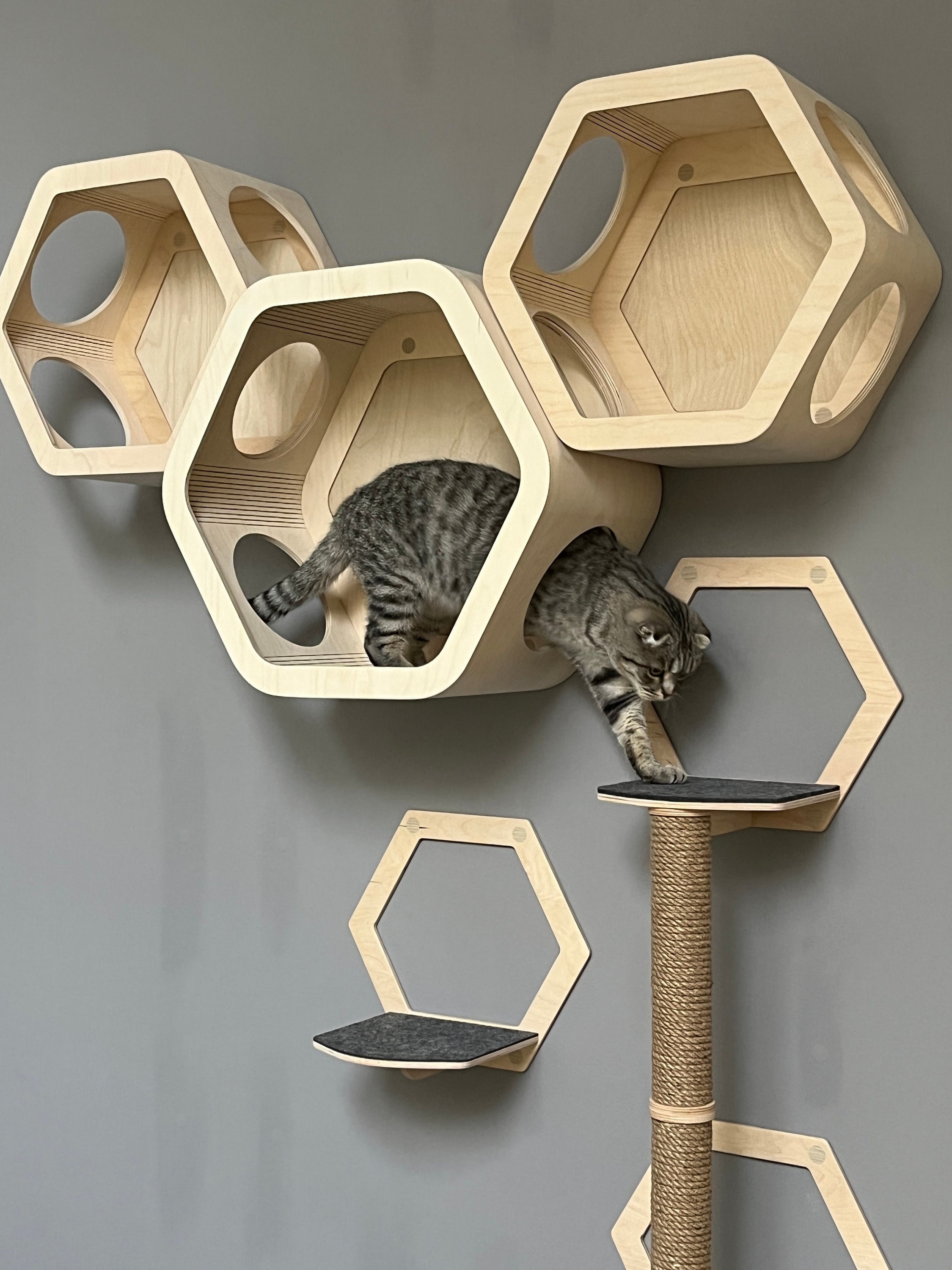 猫の六角形の棚 モダンな猫の家具 壁掛け猫ベッド 猫の壁掛け棚 六角形
