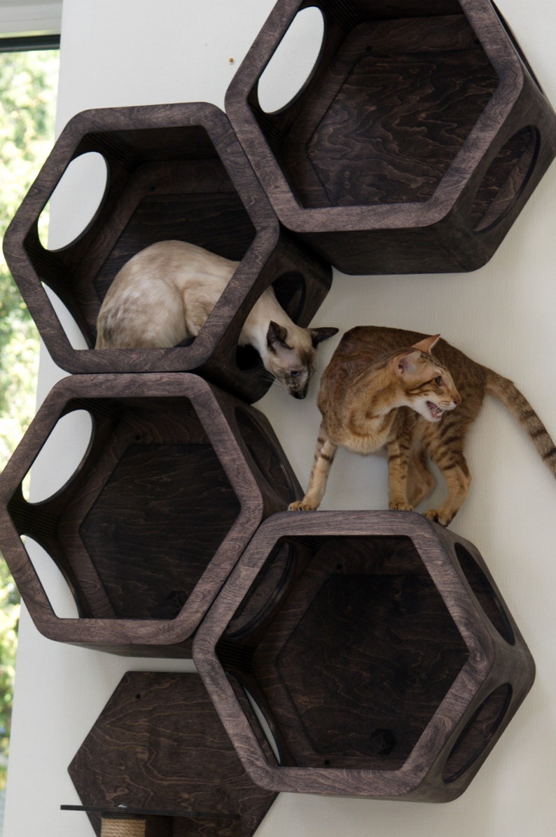Cat Hexagon Cat Shelf Cat Shelves Cat Wall Shelves Modern Cat Etsy
