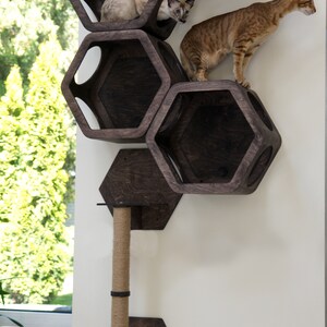 May include: A dark brown wooden cat tree with hexagonal shelves and a scratching post. Two cats are perched on the shelves.