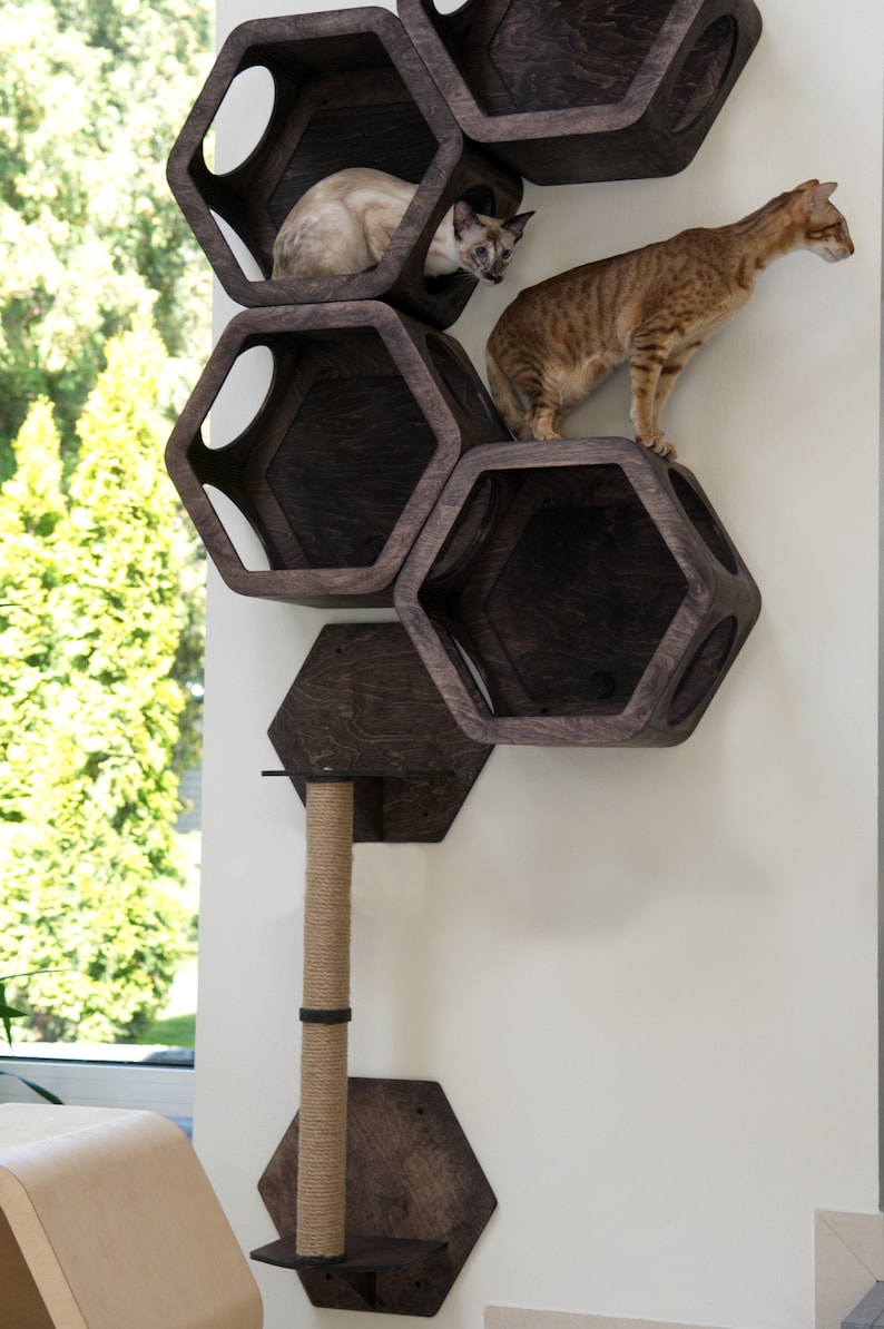 May include: A dark brown wooden cat tree with hexagonal shelves and a scratching post. Two cats are perched on the shelves.