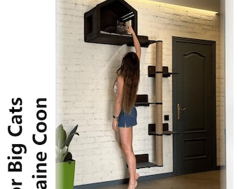 Large wooden cat house, Wall cat tree, Modern cat house, Cat wall bed, Wood cat furniture, Cat houses for wall, Handmade furniture cat