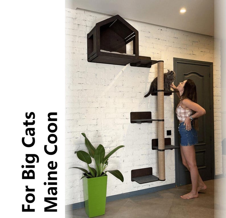 May include: A black cat tree with a wooden house at the top, a scratching post, and multiple platforms. The cat tree is mounted on a white brick wall. A woman is standing next to the cat tree, and a cat is sitting on one of the platforms.