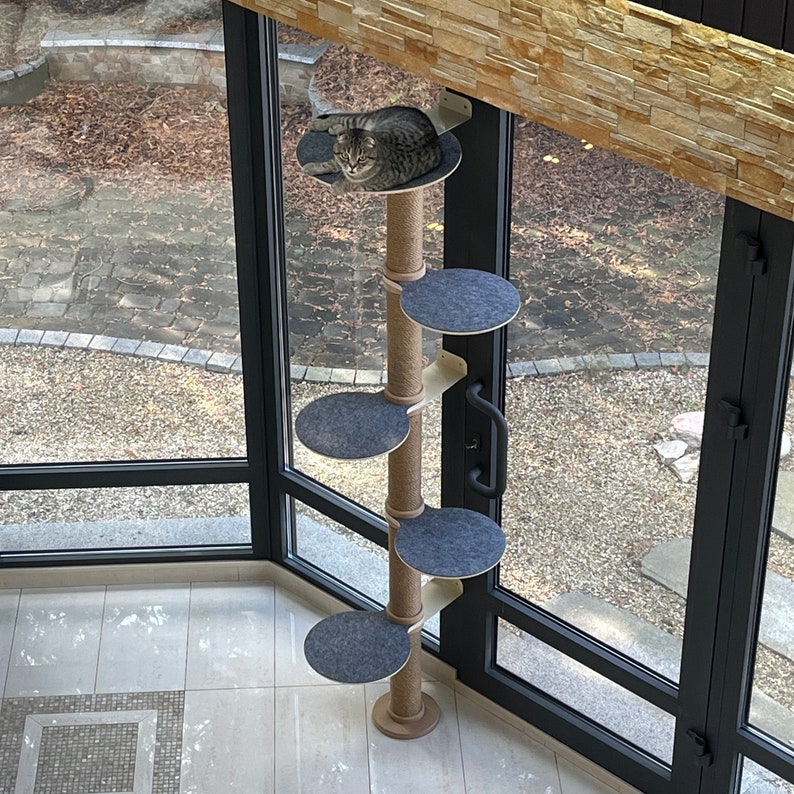 May include: A beige cat tree with five platforms covered in gray felt. The top platform has a cat sleeping on it. The cat tree is positioned in front of a window.