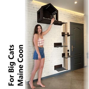 Cat house modern, Wall mounted cat bed, Cat shelves, Cat wall shelf, Cat tree, Cat home, Wall decor, Modern cat furniture wall, Gift for cat