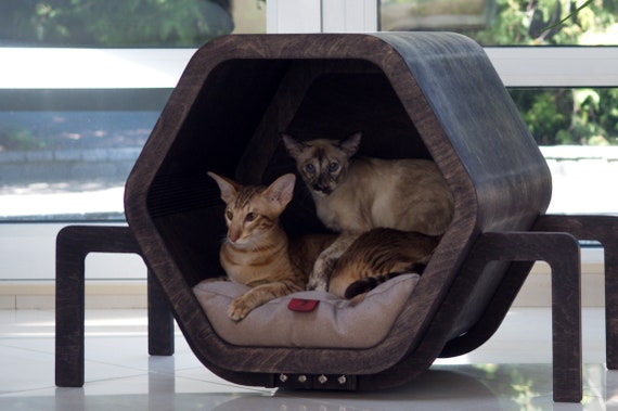 voor Kat Houten Kattenmeubels Indoor Bed - Etsy