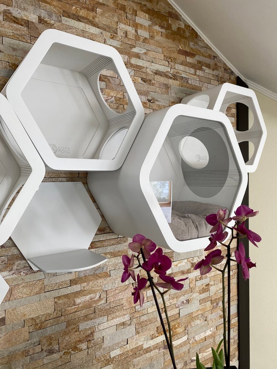 Parete Di Arrampicata Per Gatti EXTFANS - Mensole Per Arrampicata, 38x27 Cm, Legno Naturale, Per Giochi E Riposo - Foto 14