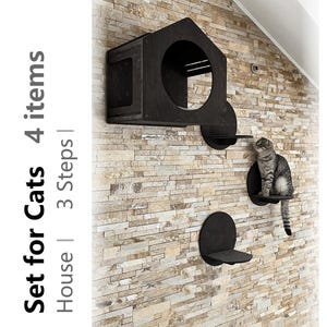 Cat Wall Set, Modern Cat Furniture, Cat House, Cat Wall Steps, Cat Climbing Wall Shelf, Cat Wall Furniture, Cat Shelves for Wall, Cat Lovers