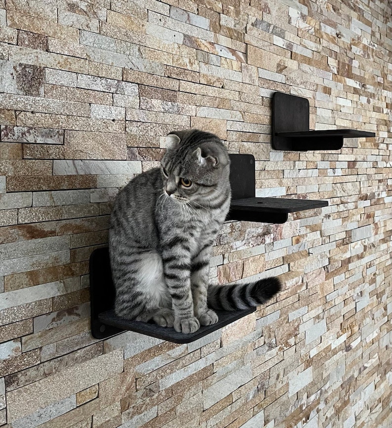 Set of 3 Steps Cat Steps Bed Pet Steps for Cat Steps for Wall Etsy