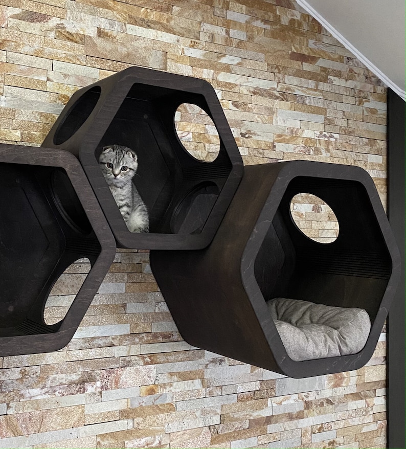 Wall Decor Cat House Modern Wall Mounted Cat Bed Cat Shelves Etsy
