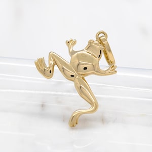 14 Karat Gelbgold Frosch Anhänger