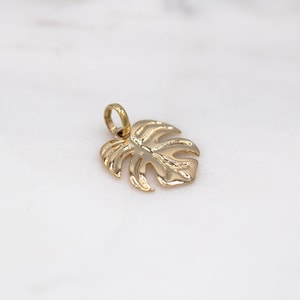 14 karat yellow gold monstera leaf charm