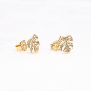 14 karat yellow gold monstera leaf stud earrings