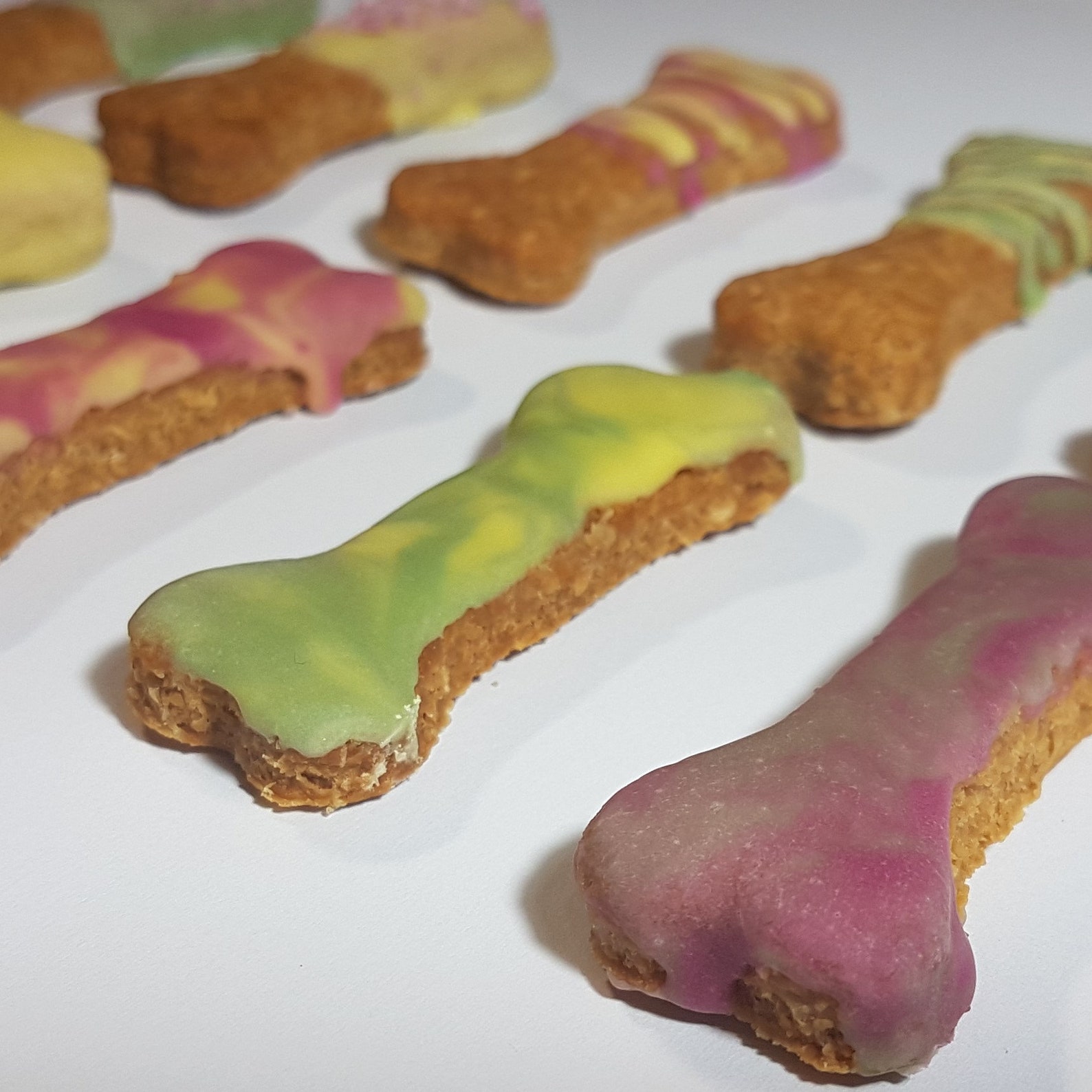 Dog Bone Treats Delicious Gourmet Iced Biscuits Etsy Australia