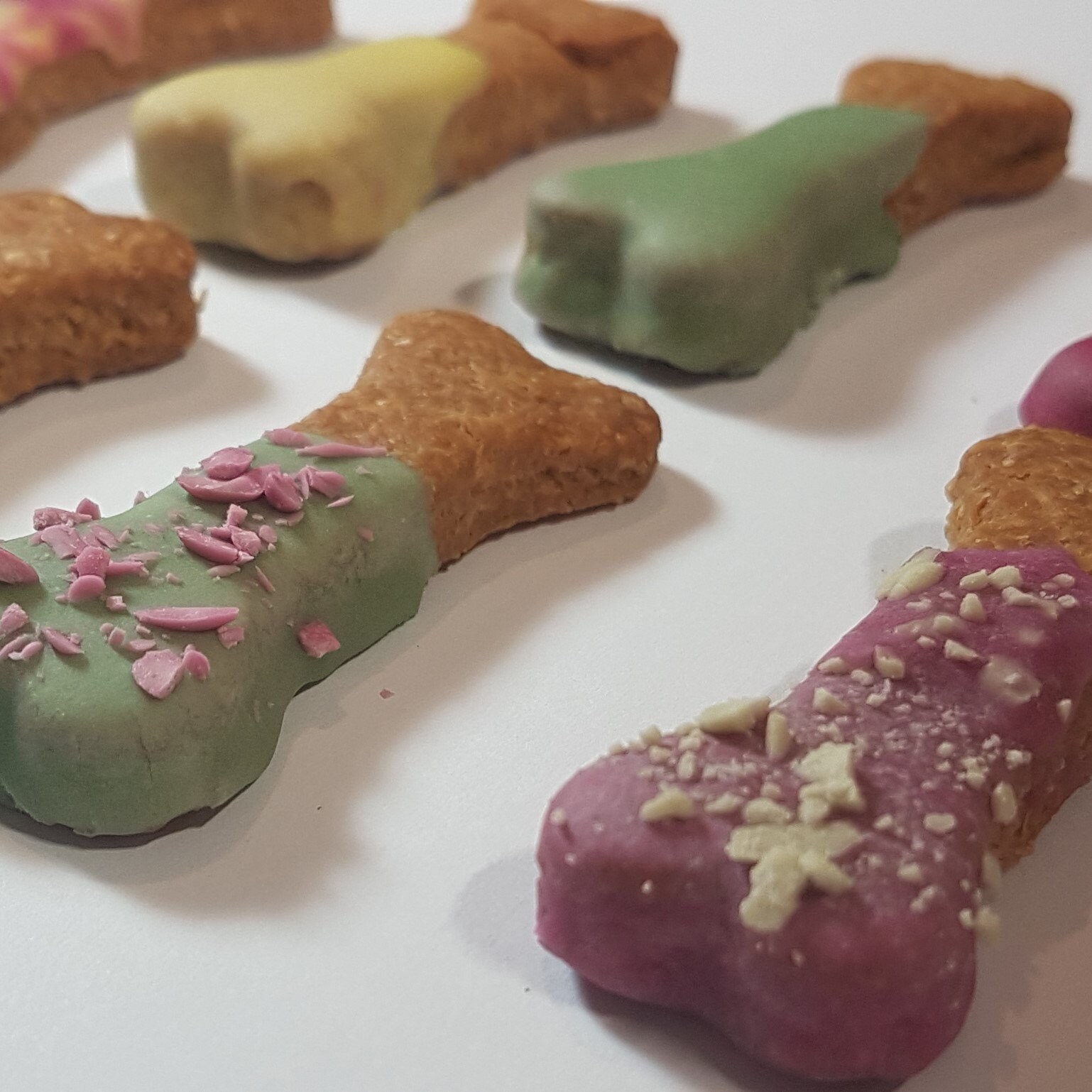 Dog Bone Treats Delicious Gourmet Iced Biscuits Etsy Australia