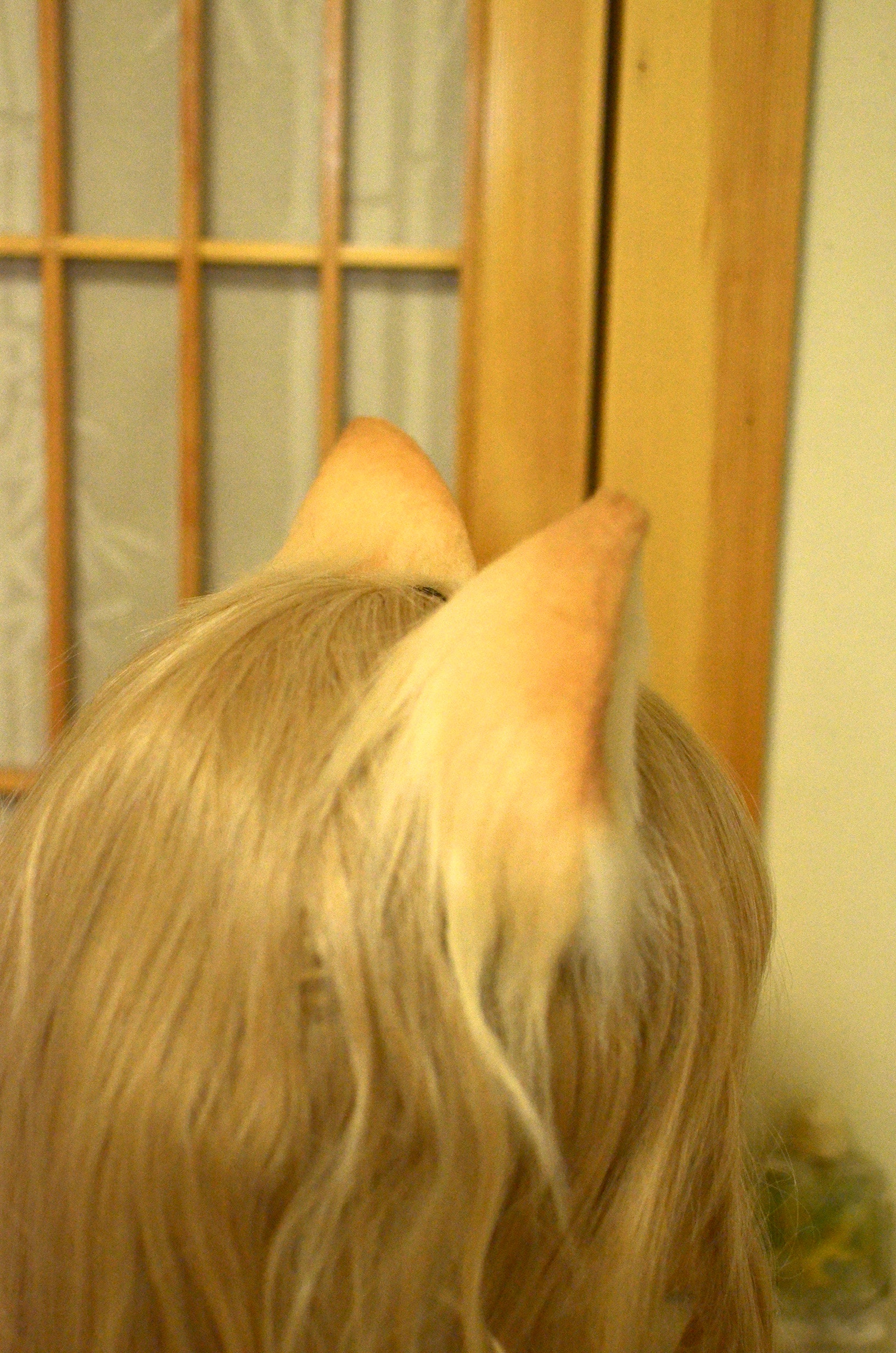 Cute Cat Ears and Tail Realisticorange Cat Ears Headband/hair Etsy UK