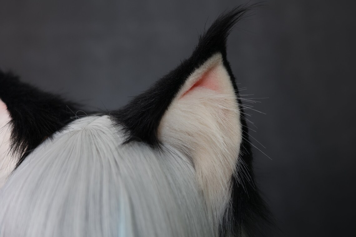 Cute Cat Ears and Tail Setcosplay Cat Costume Ears Etsy