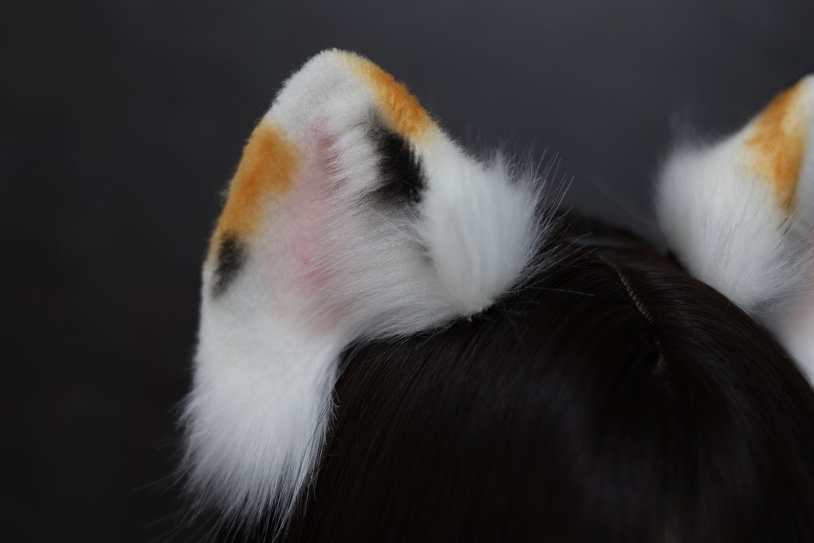 Realistic Furry Cat Ears and Tailkitten Ears and Tail Etsy