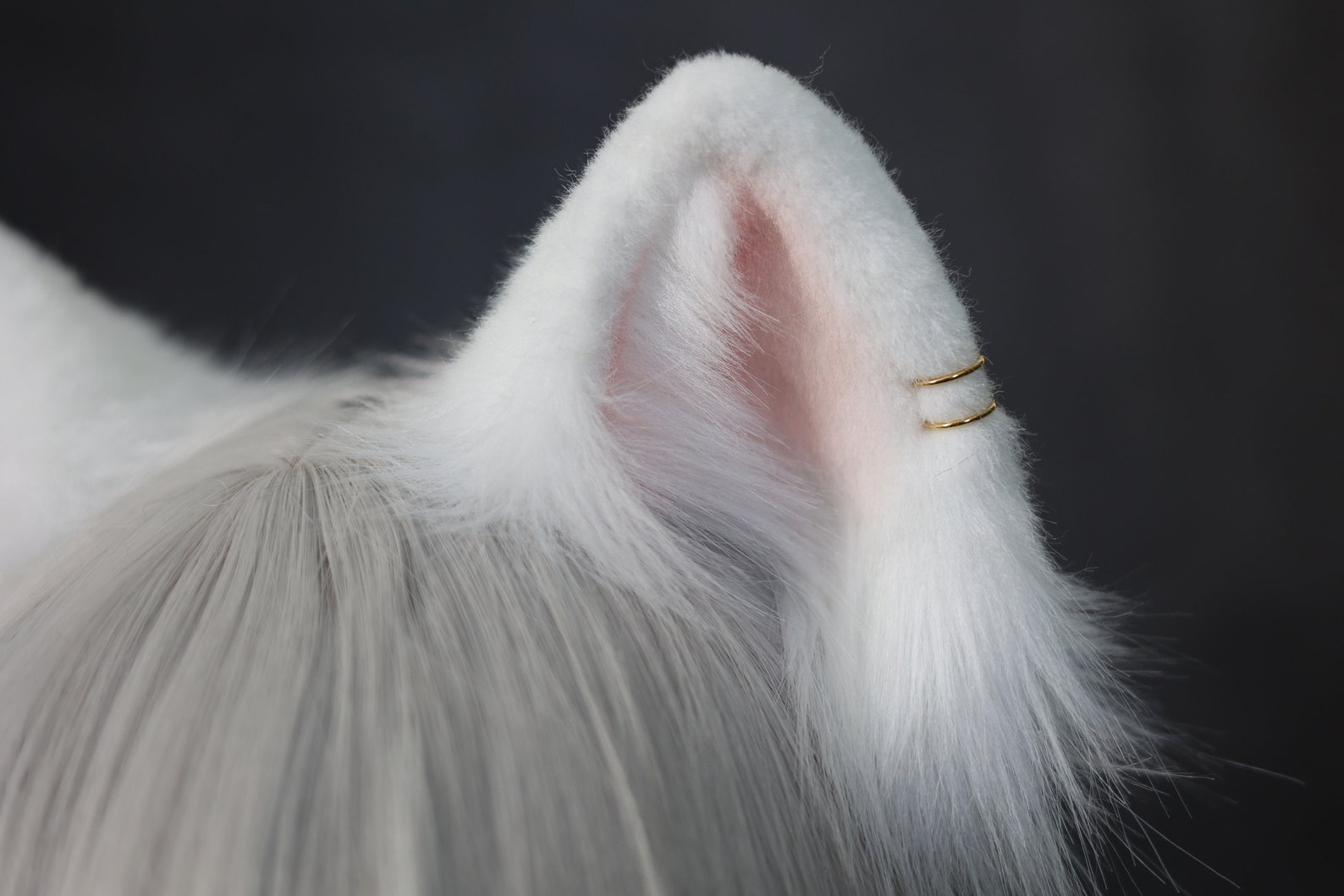 Realistic Black Cat Ears and Tail Setcat Ears Plush Etsy UK