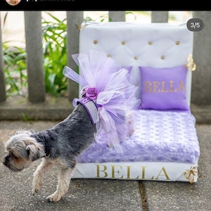 Tufted Royal Pet Bed: Personalized Dog or Cat Bed with Headboard