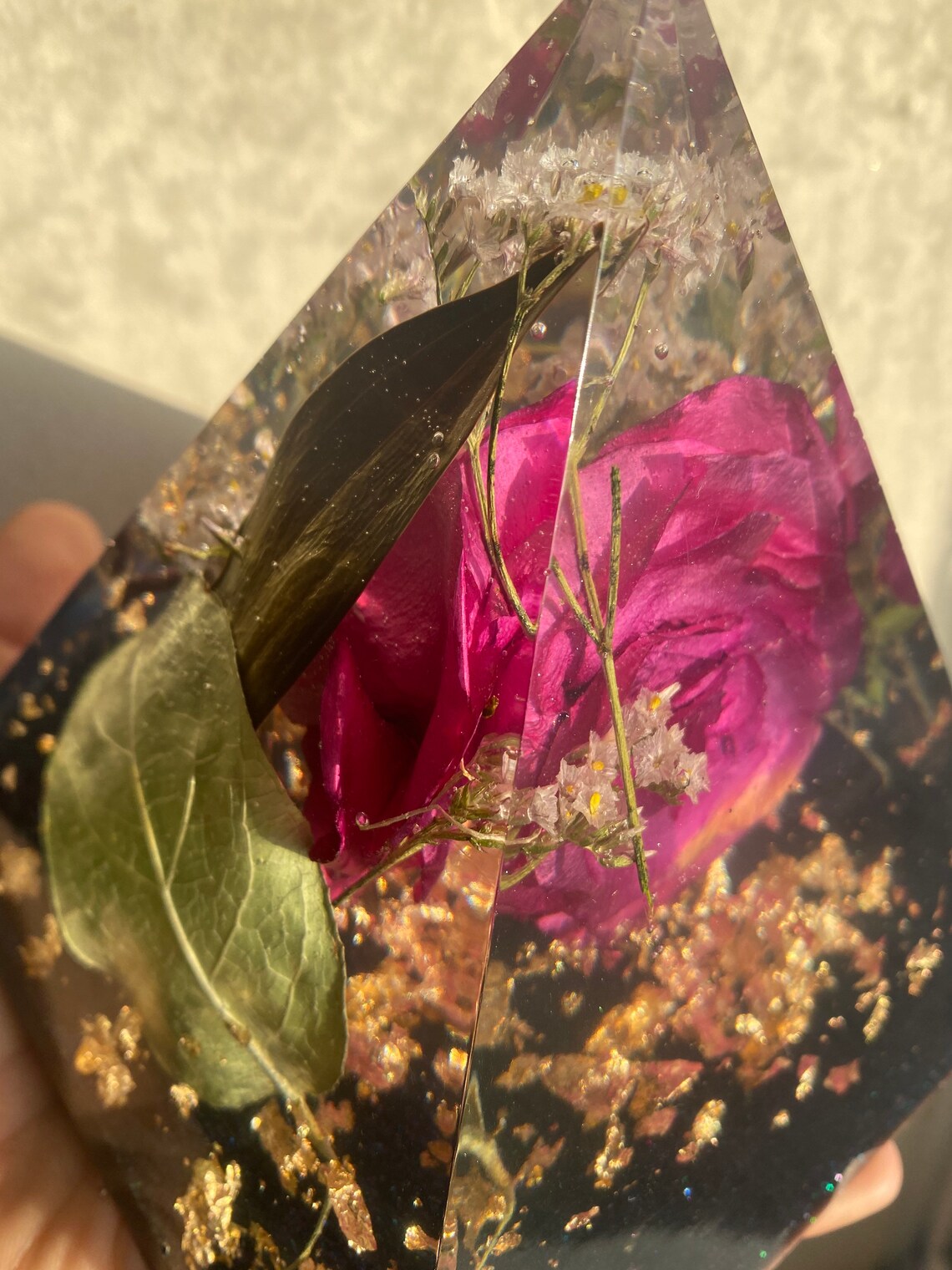 encased rose encased rose