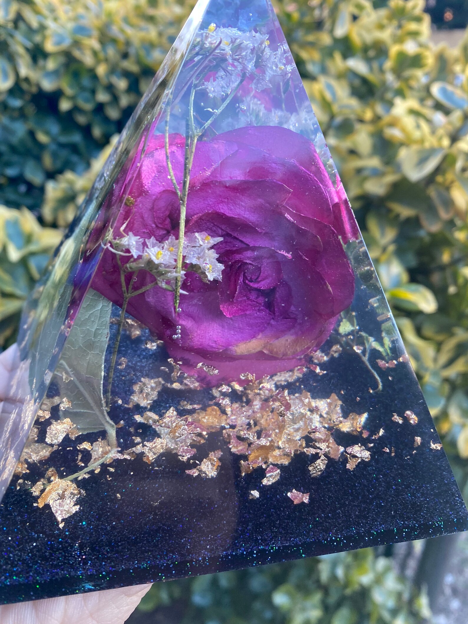 encased rose