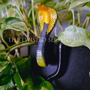 Samar Cobra Snake Pot Pal Figurine | Hand Painted Reptile | House Plant Pot Decor | Realistic & Detailed Handmade Art