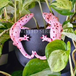 Mardi Gras Crested Gecko Pot Pal Figurine | Hand Painted Reptile | House Plant Pot Decor | Realistic & Detailed Handmade Art