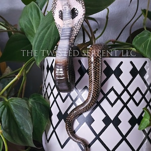 May include: A ceramic cobra statue with a detailed, textured body and a flared hood, perched on a white and black geometric patterned pot. The text "THE TWISTED SERPENT LLC" is visible. Green plants surround the pot.