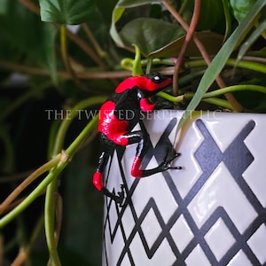 May include: A black and red frog figurine climbing on a white ceramic pot with a black geometric pattern. The pot is surrounded by green plants. The text "THE TWISTED SERPENT LLC" is visible.