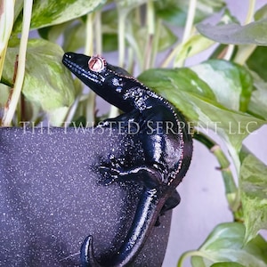 May include: A glossy black gecko sculpture with copper-colored eyes and accents, perched on a dark gray pot. The sculpture is surrounded by green and white leafy plants. The text "THE TWISTED SERPENT LLC" is visible on the pot.